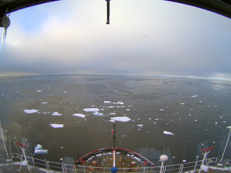 Picture of ice floating in the sea taken from the camera in Healy's Aloft Con.