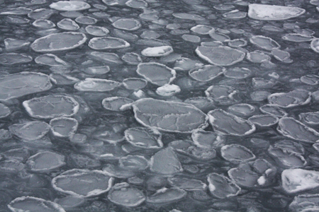Close up view of pancake ice.